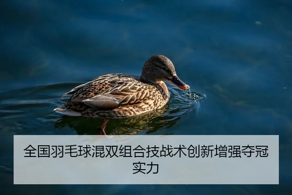 全国羽毛球混双组合技战术创新增强夺冠实力